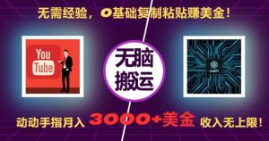 无需经验，0基础复制粘贴赚美刀，动动手指，月入3000+刀，无上限【揭秘】-林文副业站