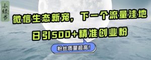 微信生态新宠小绿书：下一个流量洼地，日引500+精准创业粉，粉丝质量超高-林文副业站