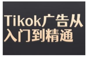 Tiktok Ads实操教程,Tiktok广告从入门到精通-林文副业站
