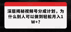 深层揭秘视频号分成计划，为什么别人可以做到轻松月入1W+?-林文副业站