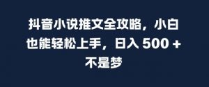 抖音小说推文全攻略,小白也能轻松上手,日入 5张+ 不是梦【揭秘】-林文副业站
