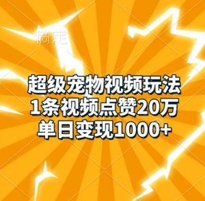 超级宠物视频玩法,1条视频点赞20万,单日变现1k-林文副业站