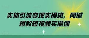 实体引流变现实操班,同城爆款短视频实操课-林文副业站