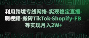利用跨境专线网络-实现稳定直播-刷视频-搬砖TikTok-Shopify-FB等实现月入2W+【揭秘】-林文副业站