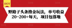 野路子头条撸金玩法,单号收益20~200+每天,项目包落地-林文副业站