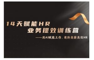 14天ChatGPT赋能HR业务提效训练营，从小白到应用高手-林文副业站
