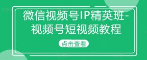 微信视频号IP精英班-视频号短视频教程-林文副业站