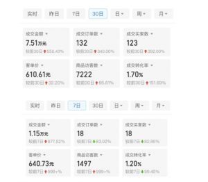 某付费文章：从0开始做拼多多18天收入86600元，客单价600块稳定日销过万，我都做对了什么?-林文副业站