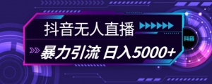 抖音快手视频号全平台通用无人直播引流法,利用图片模板和语音话术,暴力日引流100+创业粉【揭秘】-林文副业站