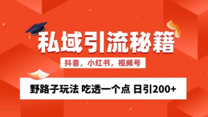 私域流量的精准化获客方法 野路子玩法 吃透一个点 日引200+ 【揭秘】-林文副业站