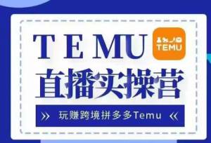 Temu直播实战营，玩赚跨境拼多多Temu，国内电商卷就出海赚美金-林文副业站