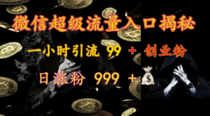 微信超级流量入口揭秘:一小时引流 99 + 创业粉,日涨粉 999 +-林文副业站