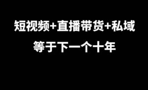短视频+直播带货+私域等于下一个十年,大佬7年实战经验总结-林文副业站
