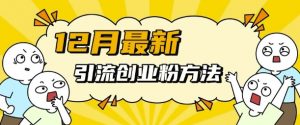 12月最新引流创业粉方法，方法非常简单，适用于多平台-林文副业站