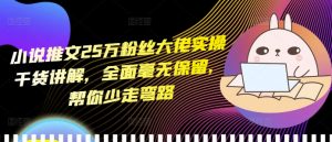 小说推文25万粉丝大佬实操干货讲解,全面毫无保留,帮你少走弯路-林文副业站