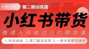 小Red书带货42天训练营 2.0版,宝妈+自由职+上班族+大学生,提高副业收入的大红利项目-林文副业站