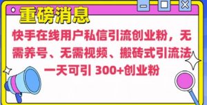 快手最新引流创业粉方法,无需养号、无需视频、搬砖式引流法【揭秘】-林文副业站