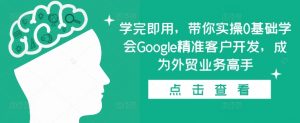 学完即用,带你实操0基础学会Google精准客户开发,成为外贸业务高手-林文副业站