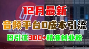 12月最新:音频平台0成本引流,日引流300+精准创业粉-林文副业站
