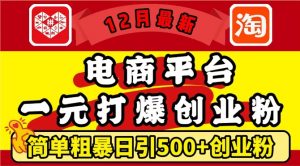 12月最新:电商平台1元打爆创业粉,简单粗暴日引500+精准创业粉,轻松月入过W【揭秘】-林文副业站
