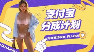 利用海外靶场射击视频,挣支付宝分成收益,轻松月入过W【揭秘】-林文副业站