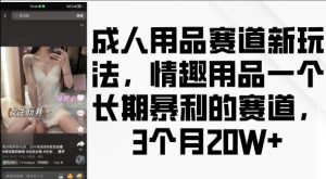 成人用品赛道新玩法,情趣用品一个长期暴利的赛道,3个月收益20个【揭秘】-林文副业站