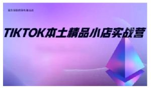 TikTok本土精品小店出海实战营,从入门到高阶,不止0-1!-林文副业站