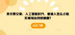 某付费文章：人工智能时代，普通人怎么才能不被淘汰持续躺赢?-林文副业站