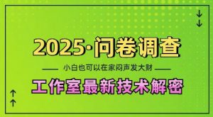 2025问卷调查最新工作室技术解密:一个人在家也可以闷声发大财,小白一天2张,可矩阵放大【揭秘】-林文副业站