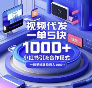 视频代发，一单5块，小红书引流合作模式，一部手机轻松日入多张【揭秘】-林文副业站