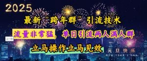 最新“跨年群”引流,流量非常猛,单日引流两人满人群,立马操作立马见效【揭秘】-林文副业站