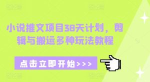 小说推文项目38天计划，剪辑与搬运多种玩法教程-林文副业站