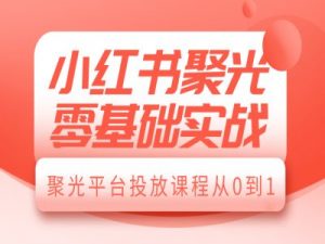 小红书聚光零基础实战，聚光平台投放课程从0到1-林文副业站
