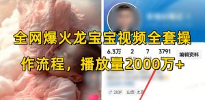 全网爆火龙宝宝视频全套操作流程，播放量2000万+-林文副业站