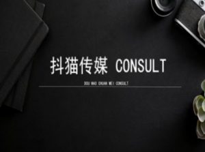 抖猫学院小红书聚光详细操作流程实操-林文副业站