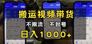 “小白必看”搬运视频带货玩法,不限流,不封号,纯自然流,日入1k-林文副业站