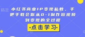 小红书商业IP变现私教，手把手教会你从0-1制作短视频到变现的全过程-林文副业站