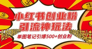 小红书创业粉引流神玩法,单图笔记引爆500+精准创业粉丝,私信狂潮接连不断-林文副业站