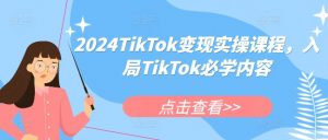 2024TikTok变现实操课程,入局TikTok必学内容-林文副业站
