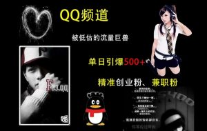 QQ频道:被低估的流量巨兽,单日引爆500+精准创业粉、兼职粉的引流秘籍-林文副业站