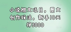 小说推文项目，图文创作玩法，新手10天挣3000-林文副业站