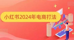 小红书2024年电商打法，手把手教你如何打爆小红书店铺-林文副业站