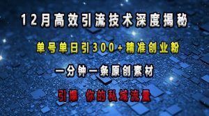 最新高效引流技术深度揭秘 ,单号单日引300+精准创业粉,一分钟一条原创素材,引爆你的私域流量-林文副业站