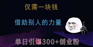 仅需一块钱,借助别人的力量,单日引爆300+创业粉、兼职粉【揭秘】-林文副业站