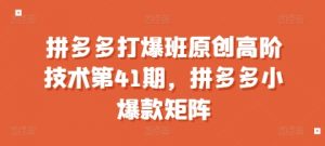 拼多多打爆班原创高阶技术第41期，拼多多小爆款矩阵-林文副业站