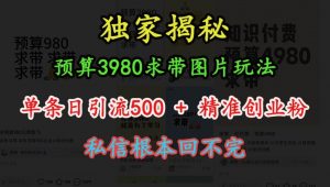 预算3980求带 图片玩法,单条日引流500+精准创业粉,私信根本回不完-林文副业站