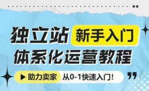 独立站新手入门体系化运营教程，助力独立站卖家从0-1快速入门!-林文副业站