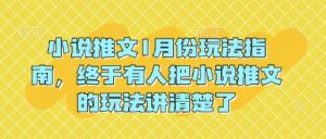 小说推文1月份玩法指南，终于有人把小说推文的玩法讲清楚了!-林文副业站