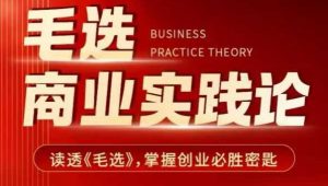 毛选商业实践论，读透《毛选》掌握创业必胜密匙-林文副业站