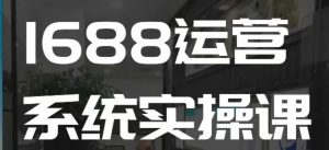 1688高阶运营系统实操课,快速掌握1688店铺运营的核心玩法-林文副业站